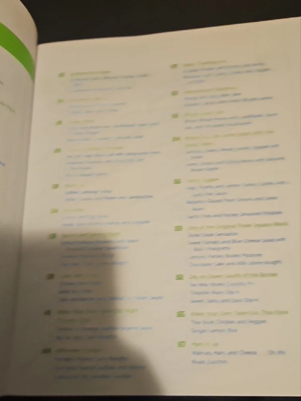 Rachael Ray Cookbook with Green Cover and Blue Title Accents
